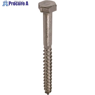 DAIDOHANT ステンレス コーチスクリュー 8x90(13頭)(15本) 00040489  1箱 ▼223-9766