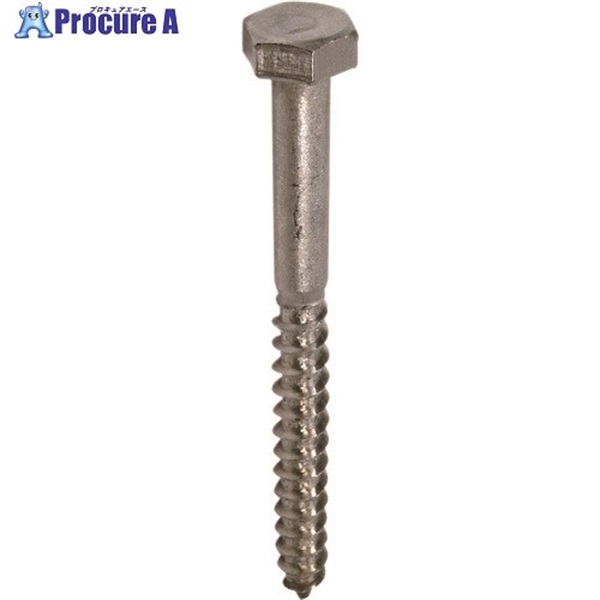 DAIDOHANT ステンレス コーチスクリュー 8x90(13頭)(15本) 00040489  1箱 ▼223-9766