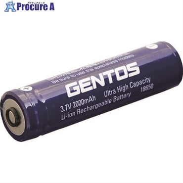 GENTOS ハンディライト専用充電池39SB SG-39SB  1個  ジェントス(株) ▼224-9291