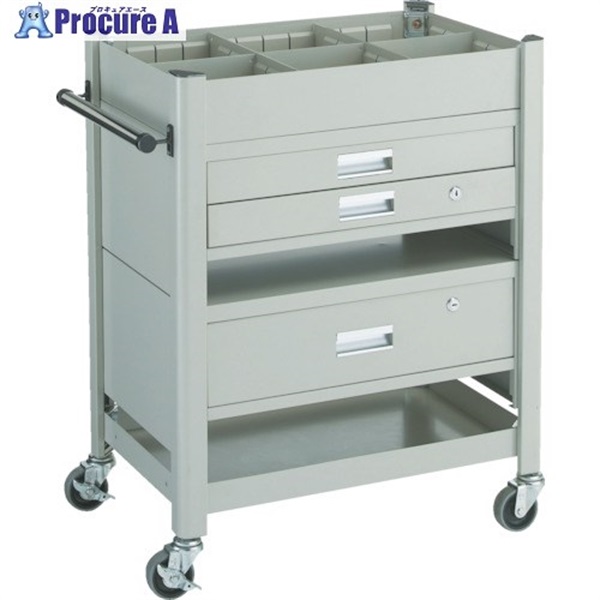 TRUSCO Rrl[VS 643X427 oEdؔt TCW-81BDE  1  gXRR() 