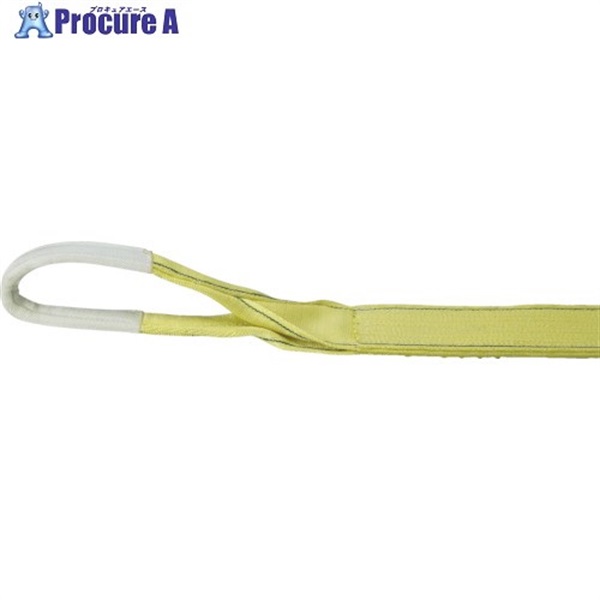 TRUSCO |GXeXO JIS3 [AC` 100mmX6.0m TPS100-60  1{  gXRR() 