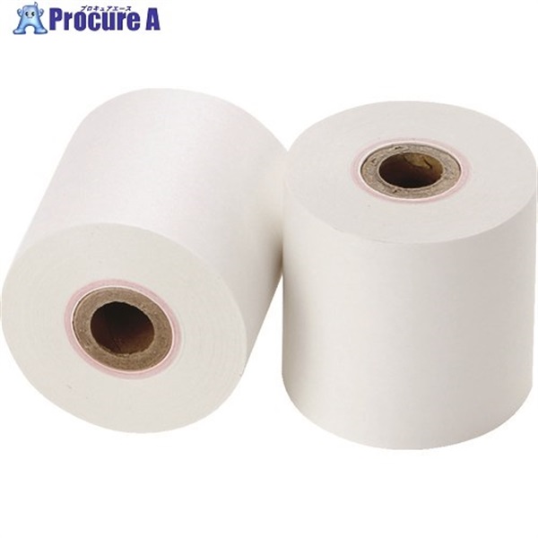 TRUSCO 計測機器用普通紙 TPS-45-50  1個 ▼855-0579