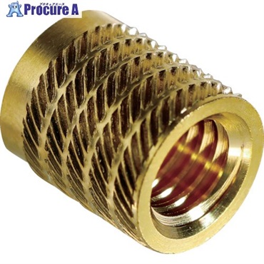 TRUSCO ビットインサートねじ M6×13.0 D1＝8.0 D2＝8.3 6個入 Y0SB-M6L13D8  1パック ▼257-0813