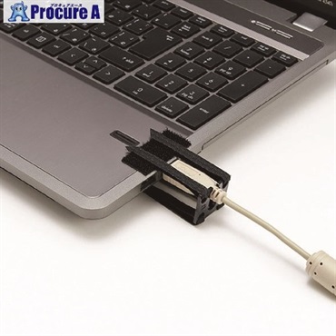 SANWA USBホールドロック(USBプラグ対応) CA-NB005  1個  サンワサプライ(株) ▼200-8641