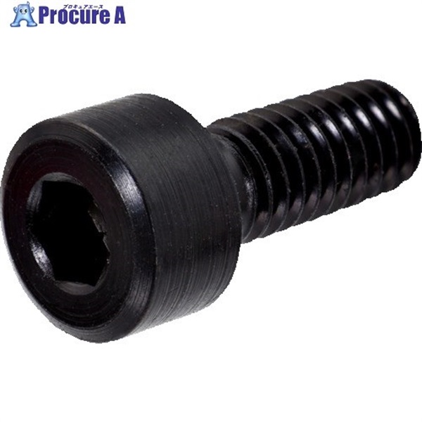 SANDVIK トルクスプラススクリュー(810) 3212 012-310 (810)  1個 ▼608-7281