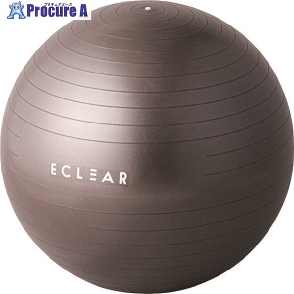 ELECOM バランスボール/55cm HCF-BB55BK  1個 ▼208-7992