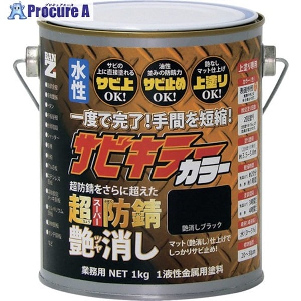 BANーZI 防錆塗料 サビキラーカラー艶消し 1kg つや消し黒 B-SKCT/K01B  1缶  (株)BAN-ZI ▼370-0092