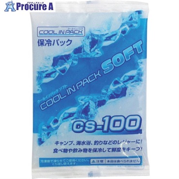 JEJアステージ クールインパックソフト CS-100 CS-100  1個 ▼819-3426