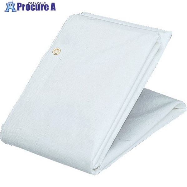 TRUSCO hV[gy 5.4mX7.2m GBS-5472A  1  gXRR() 