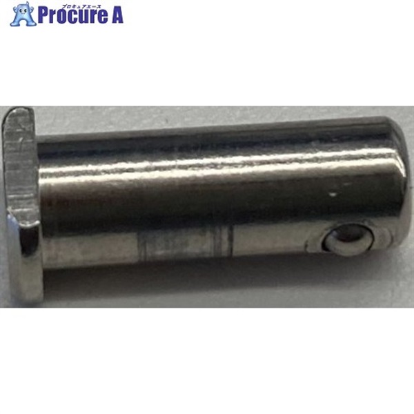 TRUSCO チューブカッターGFC-15N 替刃取付用ネジ GFC-NEJIS  1個 ▼303-1462