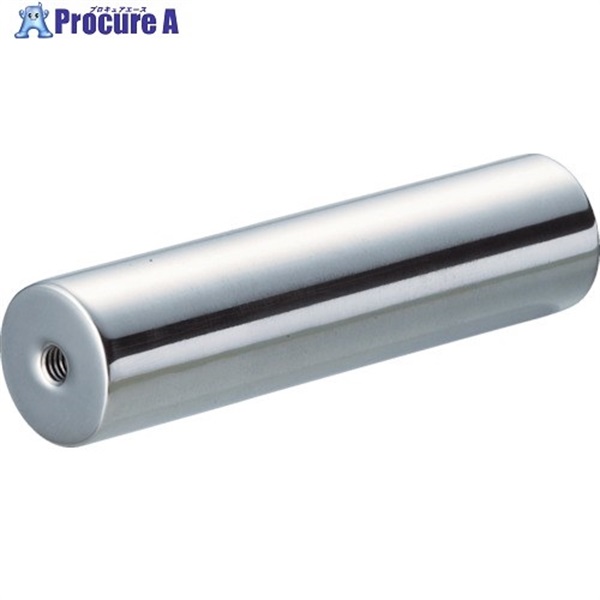 TRUSCO �T�j�^���}�O�l�b�g�_ ��25X100 MGB-10-M6  1�{  �g���X�R���R(��) 