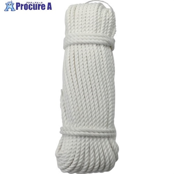 ユタカメイク ロープ Sトラックロープ 6φ×30m NS630 (6MMX30M)  1巻 ▼367-6218