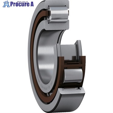 SKF 単列円筒ころ軸受 NUP型 内径25mmX外径62mmX幅24mm NUP 2305 ECP  1個 ▼390-4759