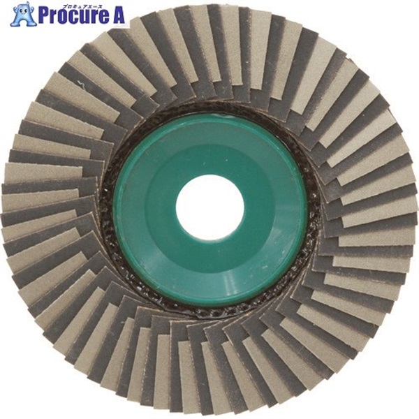 TRUSCO _Cgbv ~bNX^Cv 100X15X16 100# P-S-DT100-11 #100  1  gXRR() 