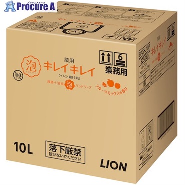 ライオン キレイキレイ薬用泡ハンドソープ フルーツミックスの香り10L BPGHJ10P  1本  ライオン(株) ▼378-3716