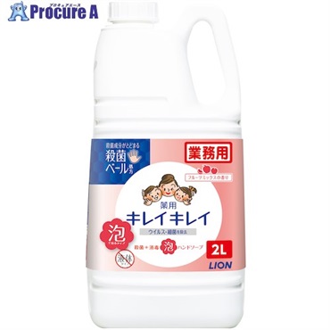 ライオン キレイキレイ薬用泡ハンドソープ フルーツミックスの香り2L BPGHJ2P  1本  ライオン(株) ▼378-3720