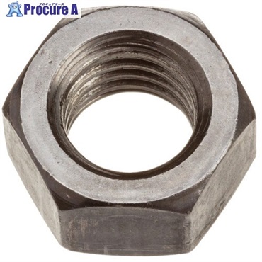 RIDGID 【売切廃番】高速管端処理機用パーツ ヘックス ナット 1/2-13 F/122J 94662  1パック ▼788-4109