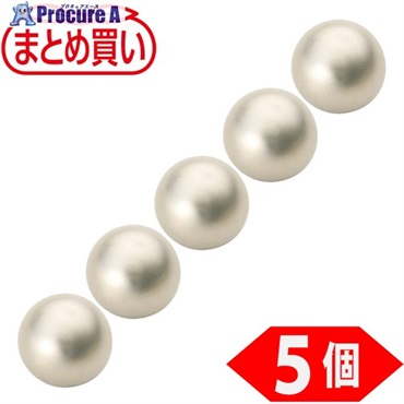 TRUSCO まとめ買い ネオジム磁石 ボール型 外径5mm シルバー 5個入 NB5-SV-5P  1パック  トラスコ中山(株) ▼698-0346