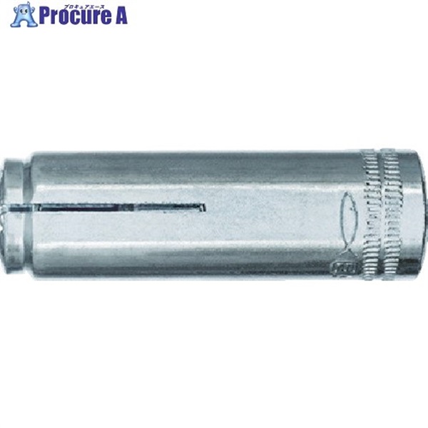 フィッシャー SXプラグ SX 12x60 (25本入) 539675  1箱  フィッシャージャパン(株) ▼829-1321