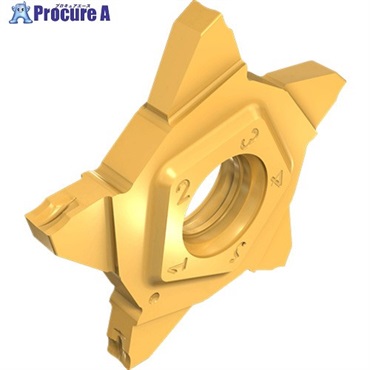イスカル ペンタカット チップ PENTA 24N-J IC807G PENTA 24N230J020 IC807G  5個  イスカルジャパン(株) ▼111-1972