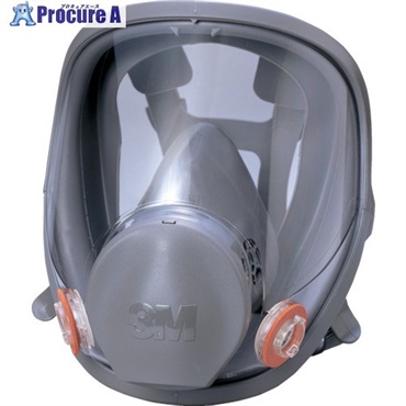 3M 防毒マスク全面形面体 6000F Lサイズ 6000F L  1個 ▼422-3837