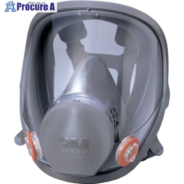 3M 防毒マスク全面形面体 6000F Lサイズ 6000F L  1個 ▼422-3837