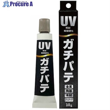 ニッぺ 補修用パテ ガチパテ 10g HRP001 4976124601019  1個 ▼529-2154