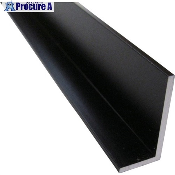 アルインコ アルミ不等辺アングル 10×15×1.5 ブラック 1m HP206KS  1本 ▼849-5249