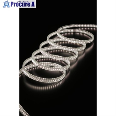 ハタヤ LEDテープライトR両面 RLTP10D  1台 ▼535-1939