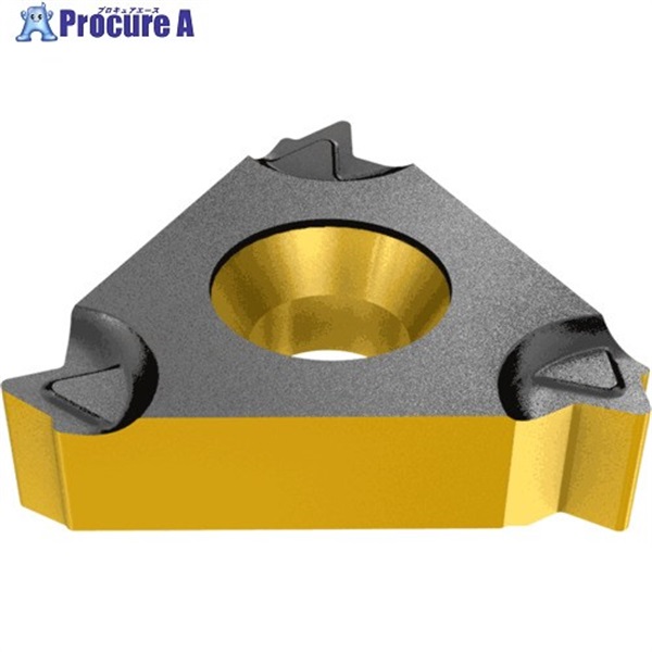 イスカル BSPTねじ切りチップ ER/L-BSPT IC808 16ERM 14 BSPT IC808  5個 ▼118-1566