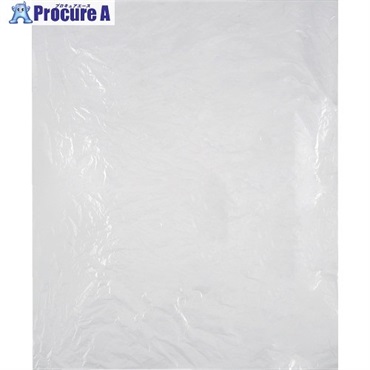 IRL 大容量規格袋 100号 LLKI-100  1袋 ▼422-4648