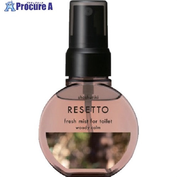 エステー 消臭剤 消臭力 RESETTO 本体 ウッデイカーム ST13267  1個 ▼713-8659