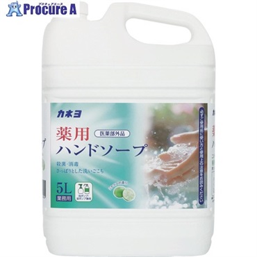 カネヨ 薬用ハンドソープ 5L 701054-B  1個 ▼715-1785