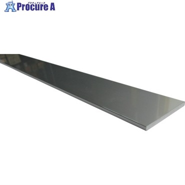 アルインコ アルミフラットバー 20x5.0シルバー 2m FD109S2  10本 ▼849-4785