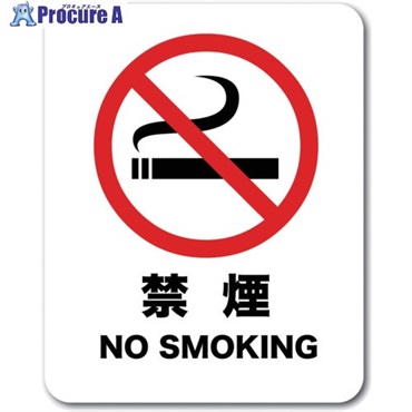 ゼネラルステッカー ステッカー 禁煙 NO SMOKING SGS-001  1枚 ▼713-7454