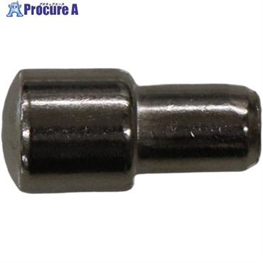 ベスト N-252 差込み棚ダボ 得用5MM ニッケル 0201-252  1パック ▼733-2617