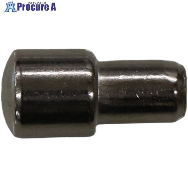 ベスト N-252 差込み棚ダボ 得用5MM ニッケル 0201-252  1パック ▼733-2617