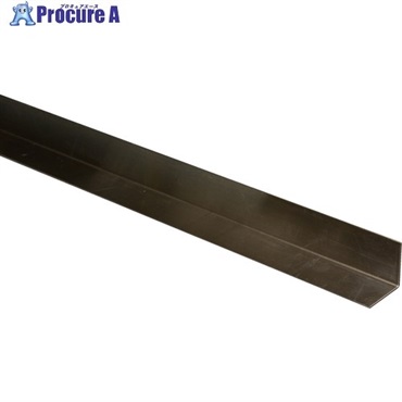光 ステンレスアングル 1×30×30×2000 SA200-30  1個 ▼849-5488