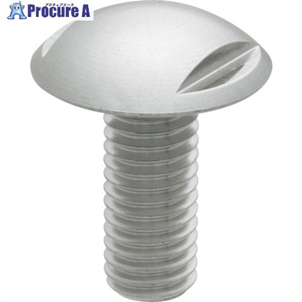 kipp ボールヘッドスクリューHD(ハイジェニックデザイン)仕様 HD-BHS04X10  1個 ▼351-2241