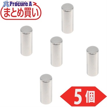 TRUSCO まとめ買い ネオジム磁石 丸形 径方向着磁タイプ外径4mmX厚10mm 5個入 TND4-T10-5P  1パック ▼691-7034