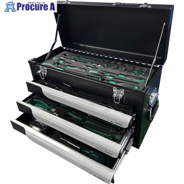 SATA 工具セット(チェストタイプ)差込角9.5mm(82点) 109562  1S ▼699-9646