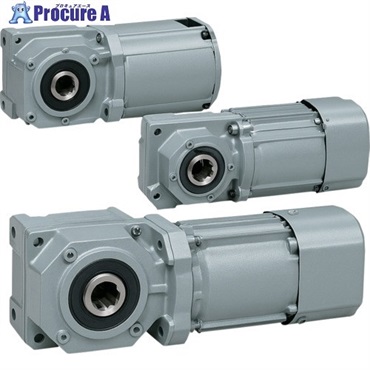 ニッセイ GTR MINI SERIESインダクションギアモータ(15W～90W) 同心中空軸 同心中実軸 F2タイプ F2SM-15-30-T90  1台 ▼718-5432