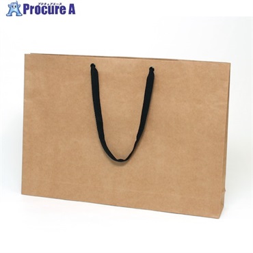 HEIKO 手提げ紙袋 ファッションバッグ 未晒無地 LL 10枚入り 006470510  1袋 ▼342-4793