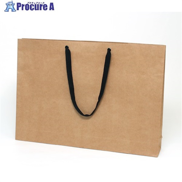 HEIKO 手提げ紙袋 ファッションバッグ 未晒無地 LL 10枚入り 006470510  1袋 ▼342-4793