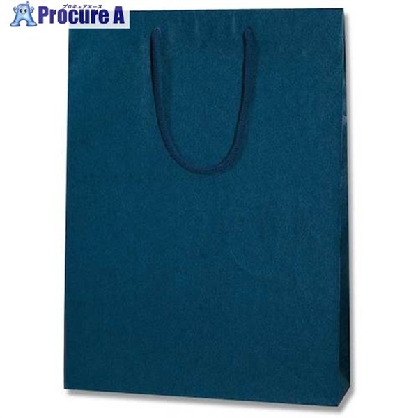 HEIKO 手提げ紙袋 カラーチャームバッグ 紺 2才 10枚入り 005310112  1袋 ▼343-7458